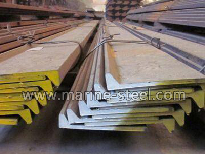 ABS Grade A bulb flat steel bar