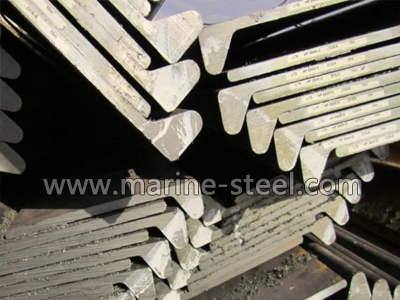 BV Grade B bulb flat steel bar