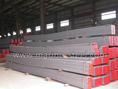 NK Grade A bulb flat steel bar