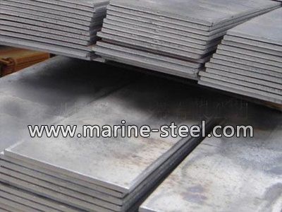 DNV Grade B hot rolled flat steel