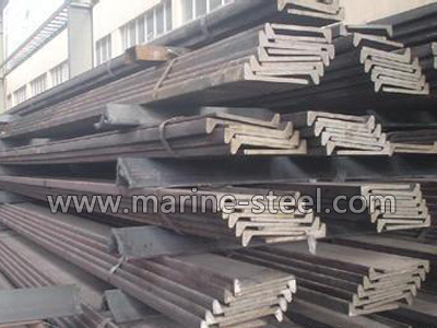 LR  Grade B bulb flat steel bar supplier